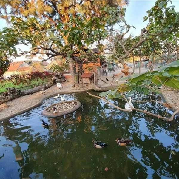 Apartman Normanci Near Bizovac Thermal Spa Extérieur photo
